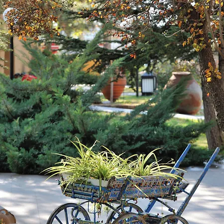 Hotel Agacli