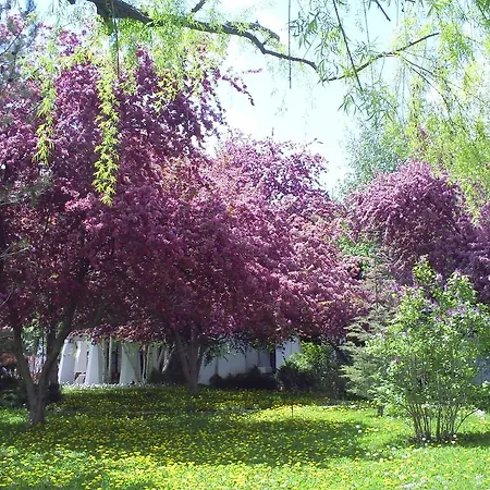 Agacli Hotel Askaray