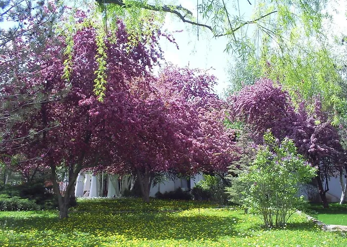 Agacli Hotel Aksaray